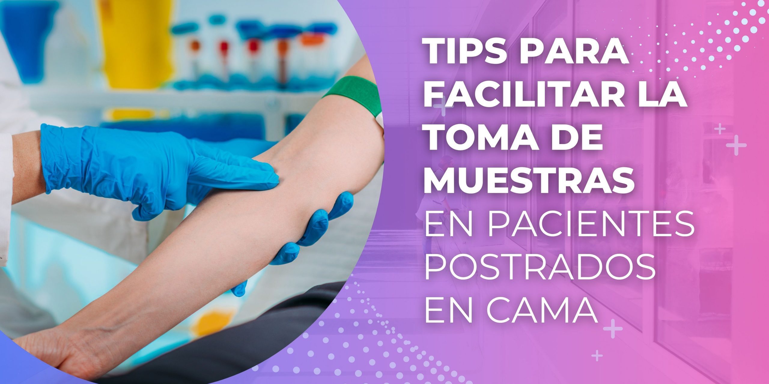 Carátulas Artículos HL